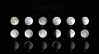 lunar cycle wall calendars