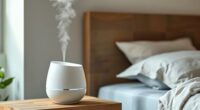 quiet bedroom humidifier options