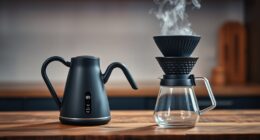 top electric pour over kettles