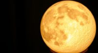 top moon lamp picks