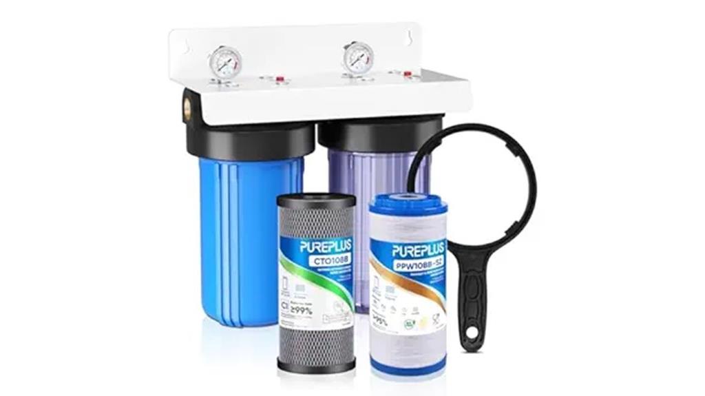 whole house water filter
