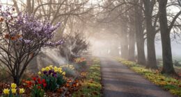 dreams of funeral signify change