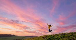 dreams of soaring higher