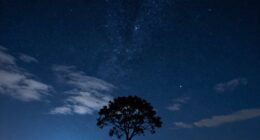 dreams reveal hidden meanings