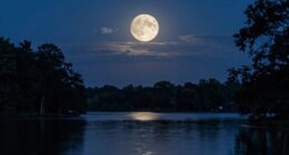 moon symbolism reveals hidden meanings