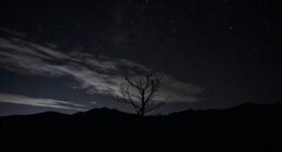 night s darkness outweighs comfort