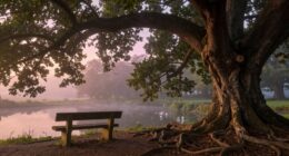 recurring dreams reveal meanings