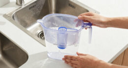 12 Best Portable Water Purifiers in 2026