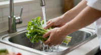 How to Stay Safe From Cyclospora, a Parasite Causing Severe Intestinal Illness